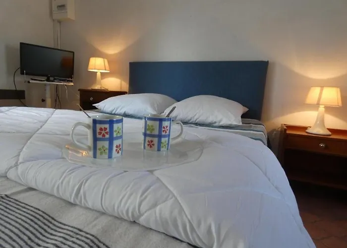 Spacieux Proche Pour 4 Pers., Animaux Admis - Fr-1-540-178