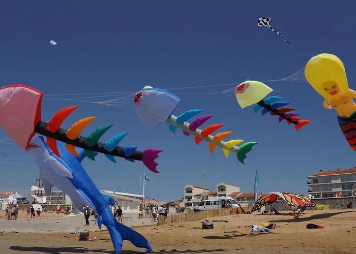 Сasa de vacaciones Spacieux Proche Pour 4 Pers., Animaux Admis - Fr-1-540-178